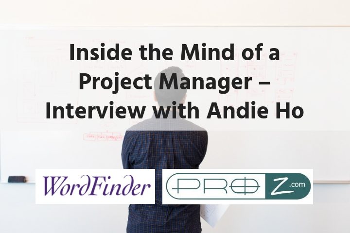 mind of project manager