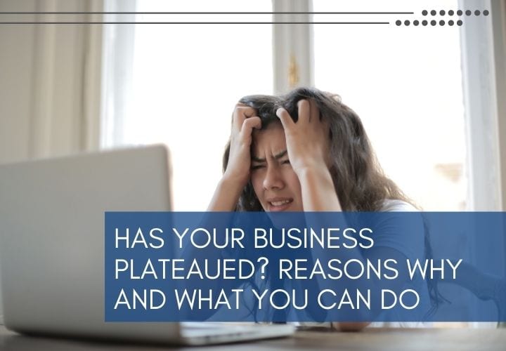 Has Your Business Plateaued? Reasons Why and What You Can Do